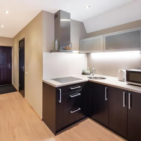 Specious Studio Near Of Town Center And Park, Up To 4guests Riga