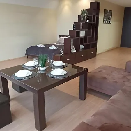 Specious Studio Near Of Town Center And Park, Up To 4guests Riga