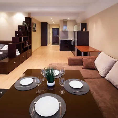 Specious Studio Near Of Town Center And Park, Up To 4guests Lägenhet