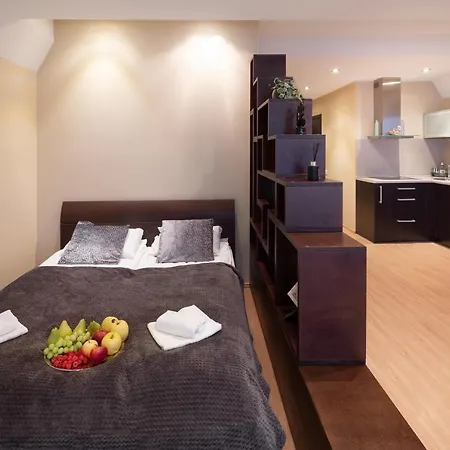 Specious Studio Near Of Town Center And Park, Up To 4guests
