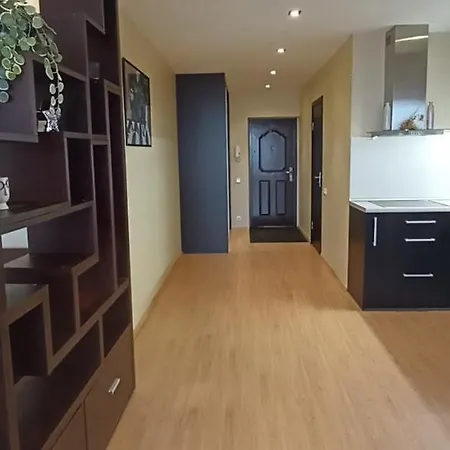 Lägenhet Specious Studio Near Of Town Center And Park, Up To 4guests