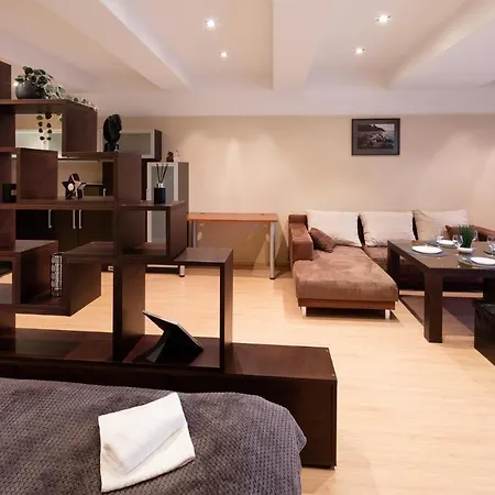 Specious Studio Near Of Town Center And Park, Up To 4guests Riga